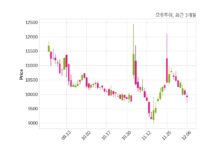 모두투어 주당 250원 현금 배당 결정
