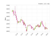 케이엔에스 매출액 또는 손익구조 변동