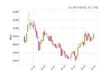 HDC현대산업개발 주당 700원 현금 배당 결정