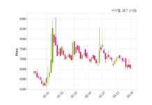 씨이랩 대표이사 변경