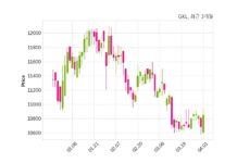 GKL, 특별관계자 지분변동