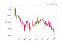 BYC 최대주주 등 소유주식 변동