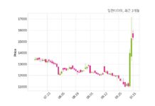 일진다이아, 특별관계자 지분변동