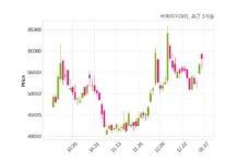비에이치아이, 특별관계자 지분변동