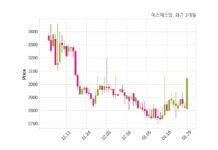 에스에스알 매출액 또는 손익구조 변동