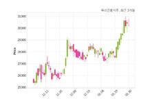우리금융지주, 특별관계자 지분변동