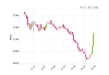 시디즈 최대주주 등 소유주식 변동