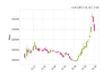 HS효성첨단소재 매출액 또는 손익구조 변동
