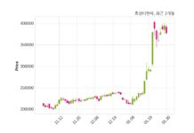 효성티앤씨 매출액 또는 손익구조 변동