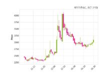 세이브존I&C 매출액 또는 손익구조 변동
