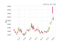 삼아알미늄 매출액 또는 손익구조 변동