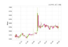 신신제약 매출액 또는 손익구조 변동