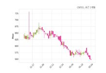 CNT85 매출액 또는 손익구조 변동