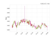 디알젬 주당 178원 현금 배당 결정