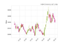 씨앤씨인터내셔널 매출액 또는 손익구조 변동