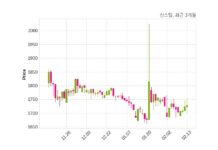 신스틸 매출액 또는 손익구조 변동