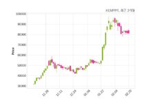HEM파마 매출액 또는 손익구조 변동