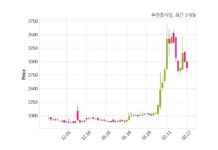 우진플라임 주당 50원 현금 배당 결정