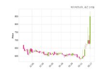 페이퍼코리아 매출액 또는 손익구조 변동