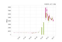 비엘팜텍 매출액 또는 손익구조 변동