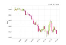 뉴보텍 매출액 또는 손익구조 변동
