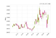 AP시스템 매출액 또는 손익구조 변동