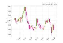 나이스디앤비 주당 226원 현금 배당 결정