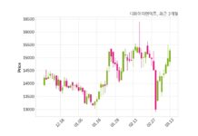 디와이피엔에프 현금 배당 결정
