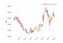 슈피겐코리아 주당 500원 현금 배당 결정
