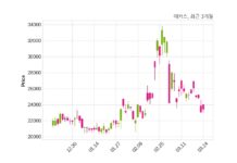 매커스, 특별관계자 지분변동