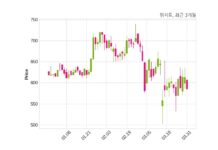 위지트 대표이사 변경