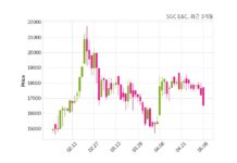 SGC E&C 630억 원 규모 채무보증 결정