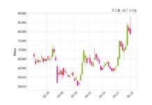 코오롱 최대주주 등 소유주식 변동
