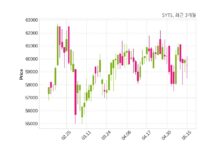 SYTS 최대주주 등 소유주식 변동