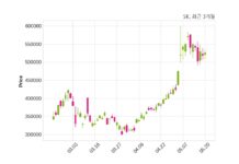 SK 최대주주 등 소유주식 변동