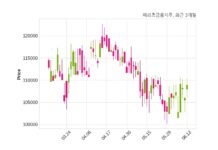 메리츠금융지주 최대주주 등 소유주식 변동