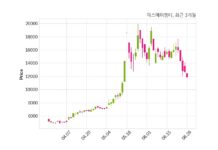 에스에이엠티 278억 2천만 원 규모 채무보증 결정