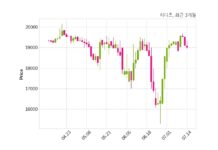 시디즈 최대주주 등 소유주식 변동