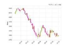 젝시믹스 주당 80원 현금 배당 결정